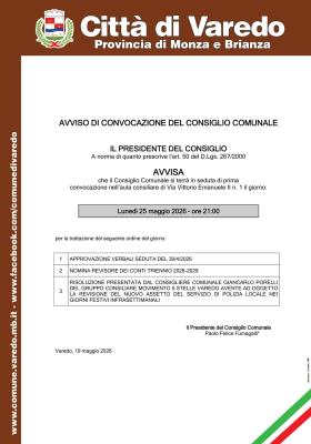 Consiglio Comunale foto 